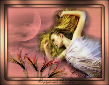 moniature romance